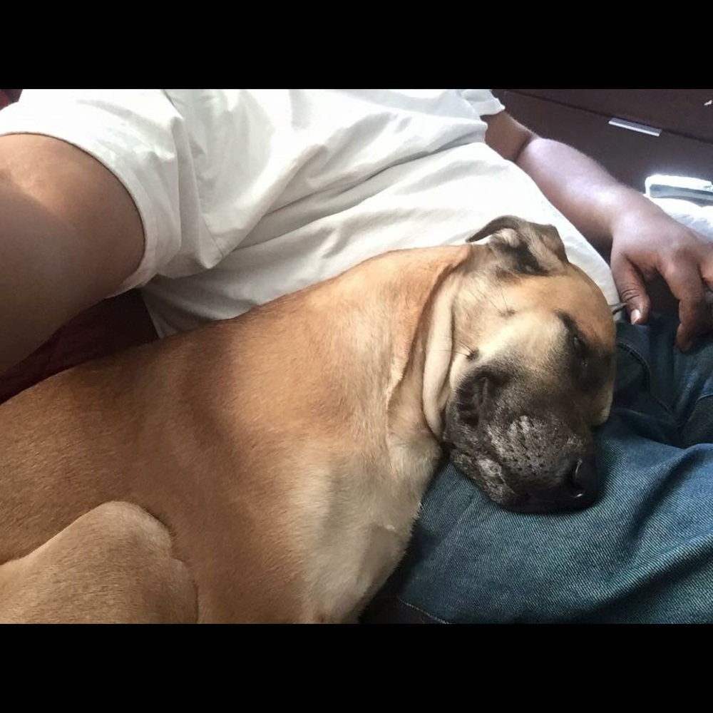 Meet your Posher, Shea